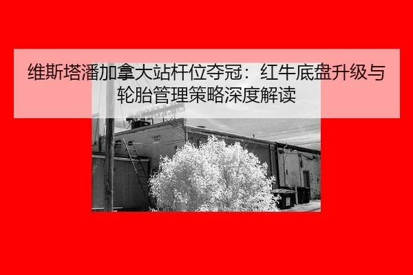wei-si-ta-pan-jia-na-da-zhan-gan-wei-duo-guan-hong-niu-di-pan-sheng-ji-yu-lun-tai-guan-li-ce-lve-shen-du-jie-du-2-736.jpg